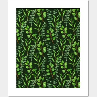 Eucalyptus on dark green Posters and Art